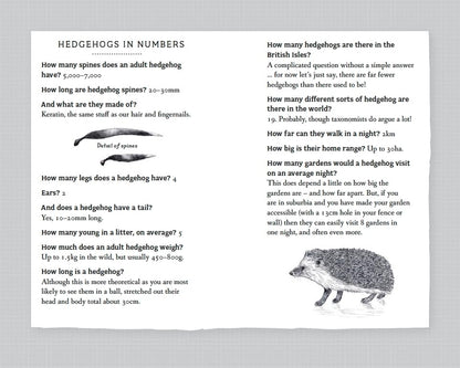 RSPB Pocket Book of Hedgehogs