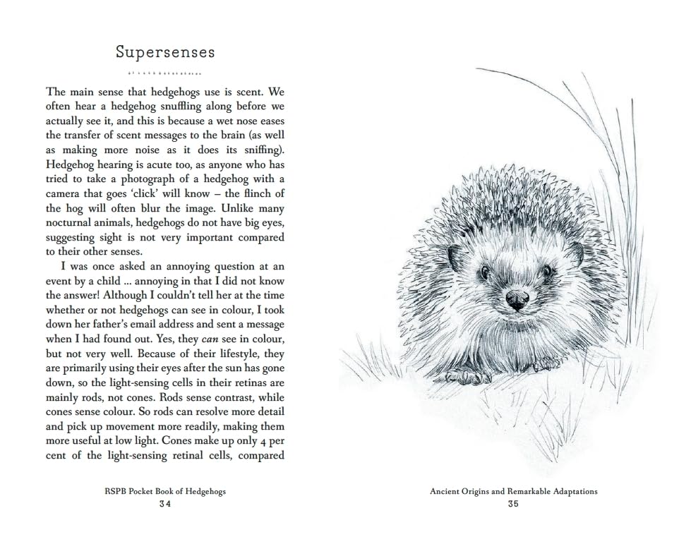RSPB Pocket Book of Hedgehogs