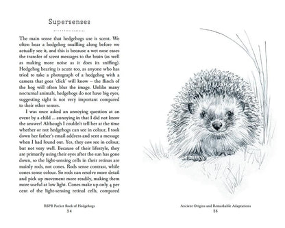 RSPB Pocket Book of Hedgehogs