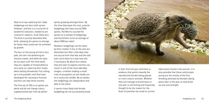 The Hedgehog Book