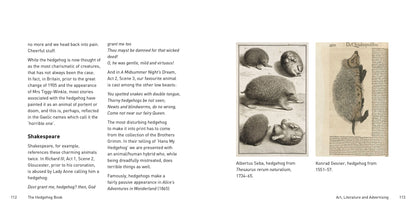 The Hedgehog Book