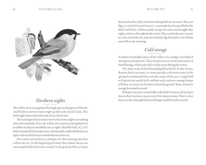The Hidden Life of Garden Birds