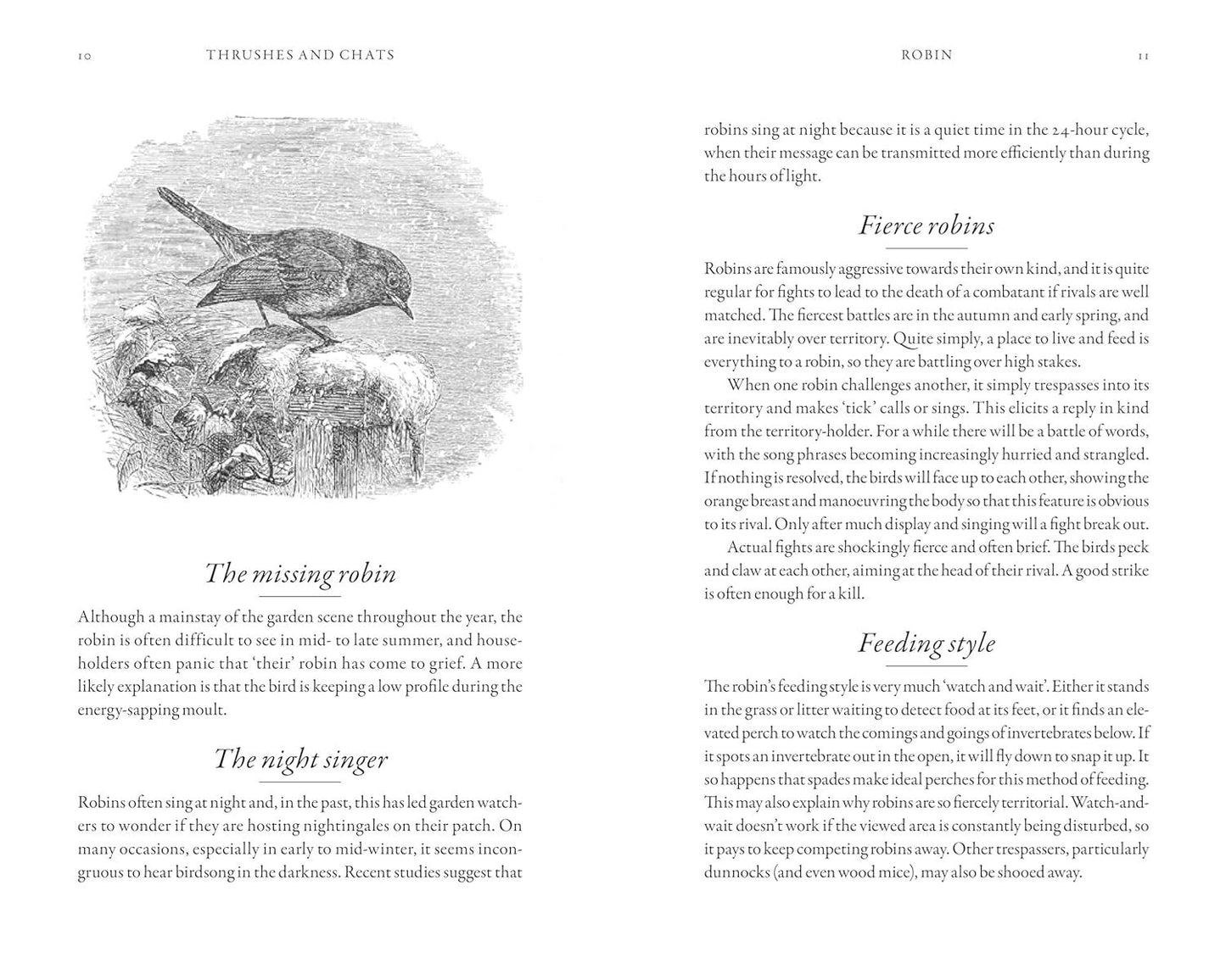 The Hidden Life of Garden Birds