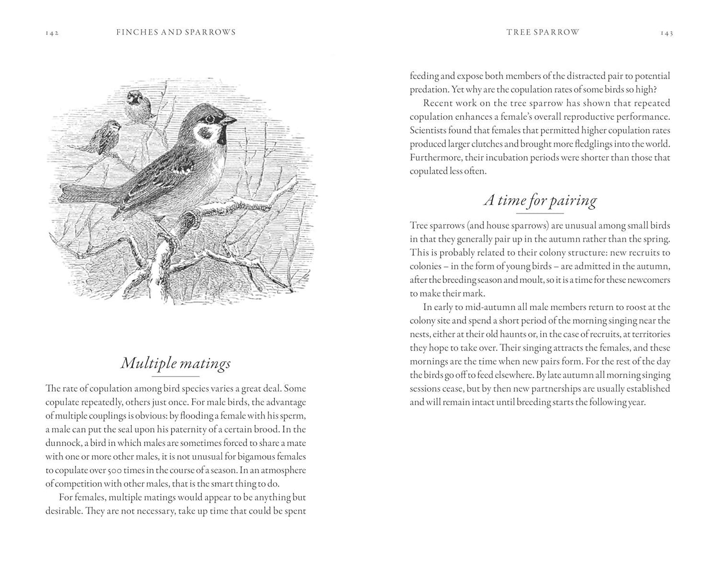 The Hidden Life of Garden Birds