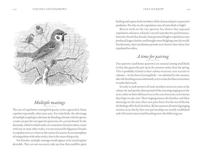 The Hidden Life of Garden Birds
