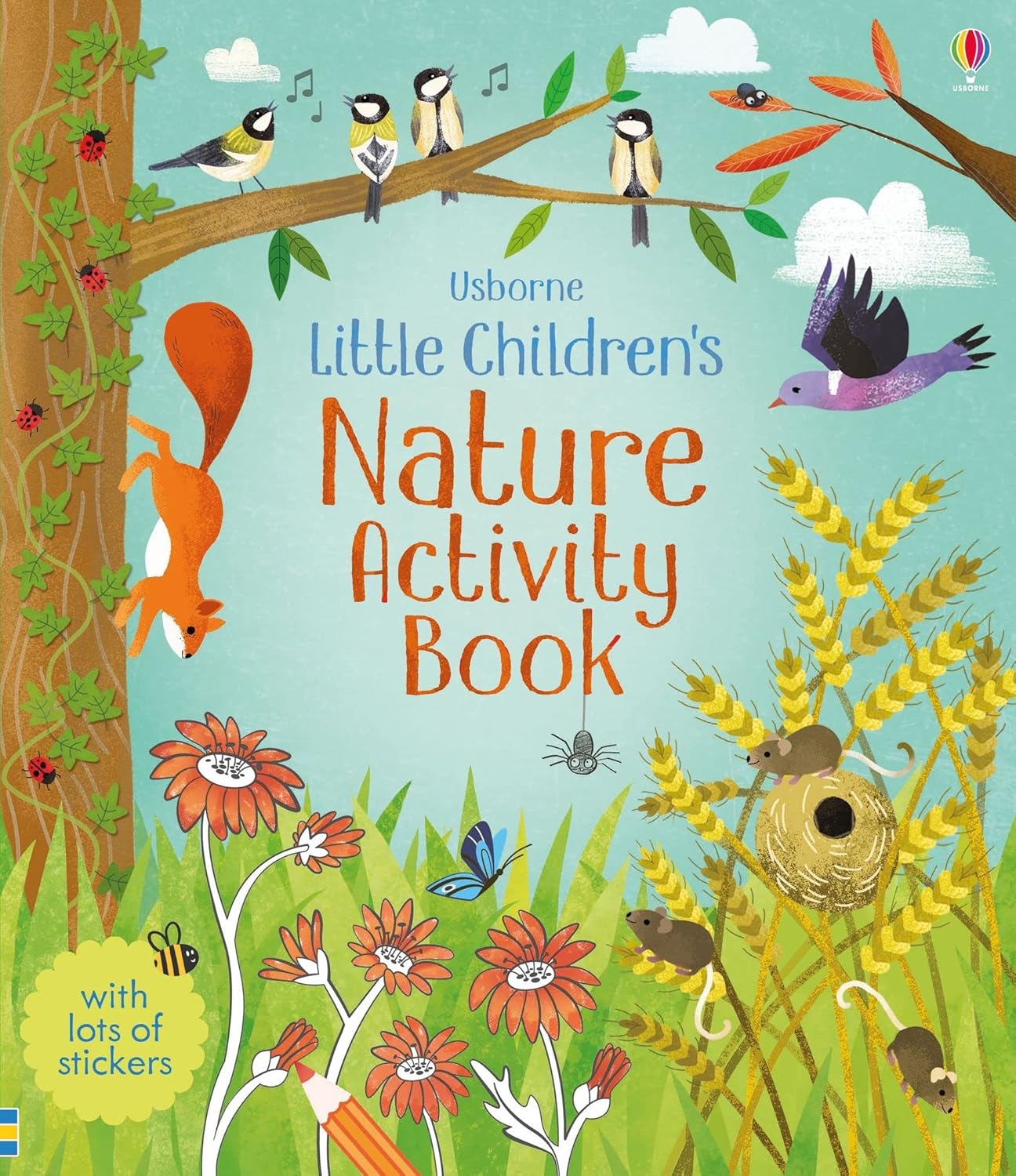 Little Children's Nature Activity Book (Usborne)