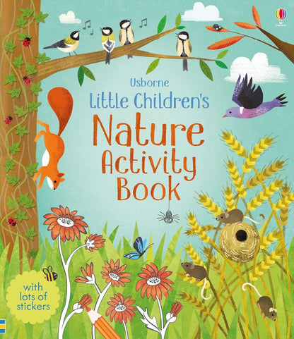 Little Children's Nature Activity Book (Usborne)