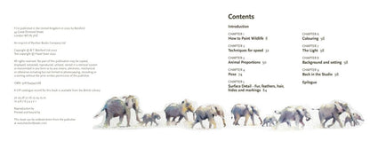 Learn to Paint Wildlife Quickly