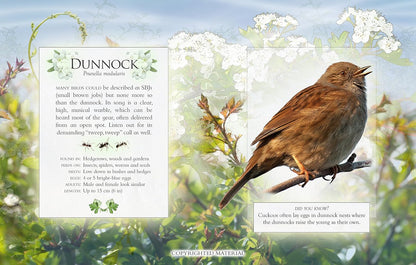 The Little Book of Garden Bird Songs