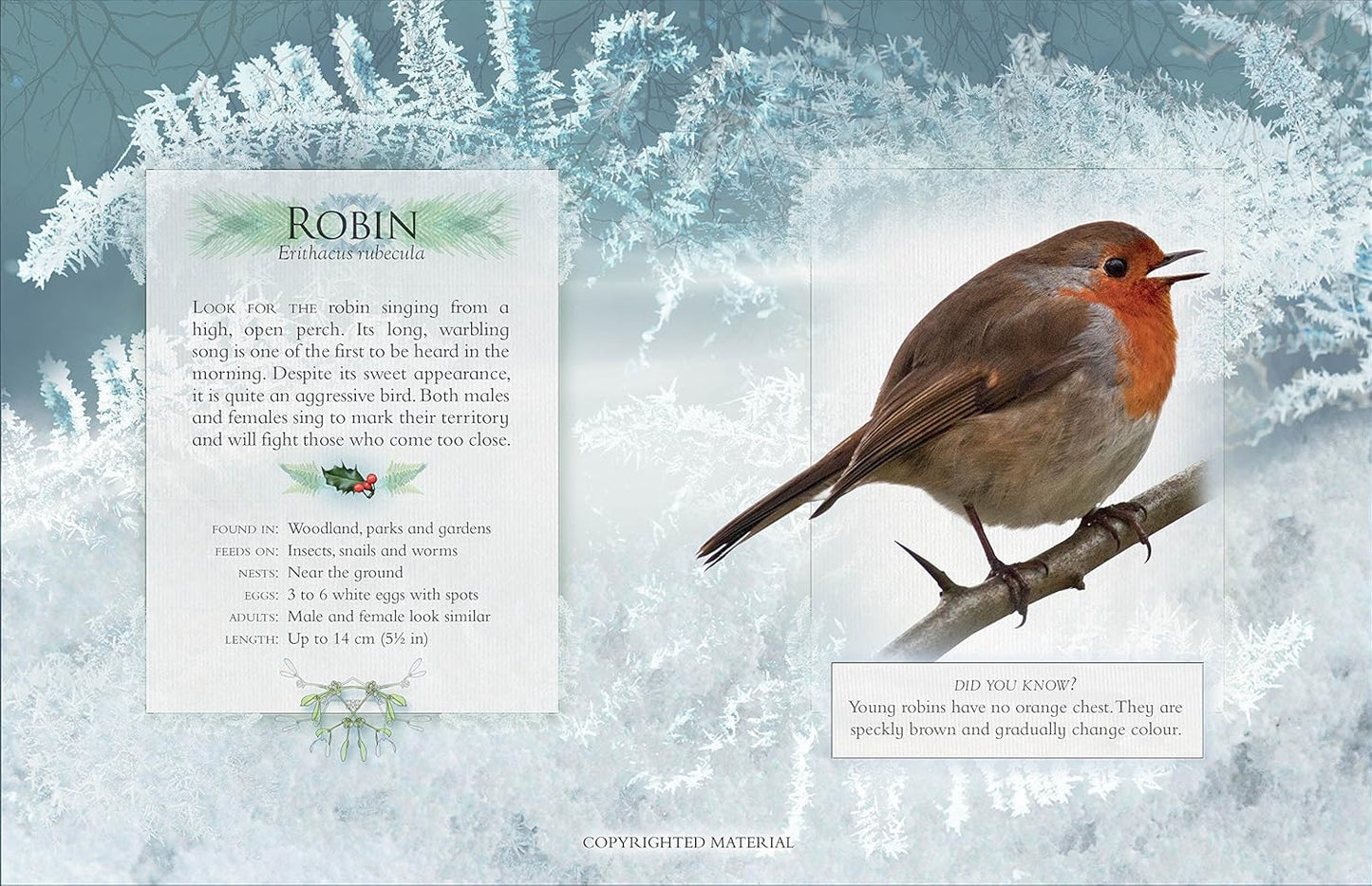 The Little Book of Garden Bird Songs