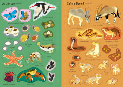Little First Stickers Nature