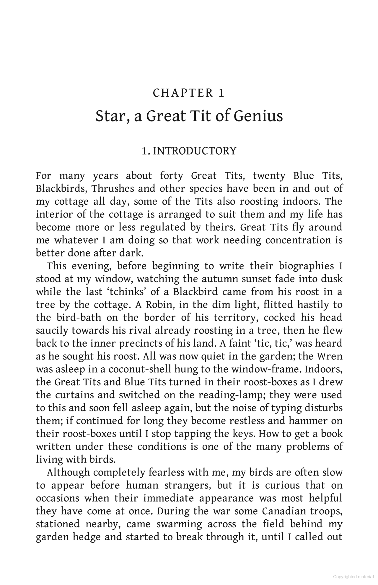 Living with Birds: The true story of one woman’s remarkable relationship with wild birds