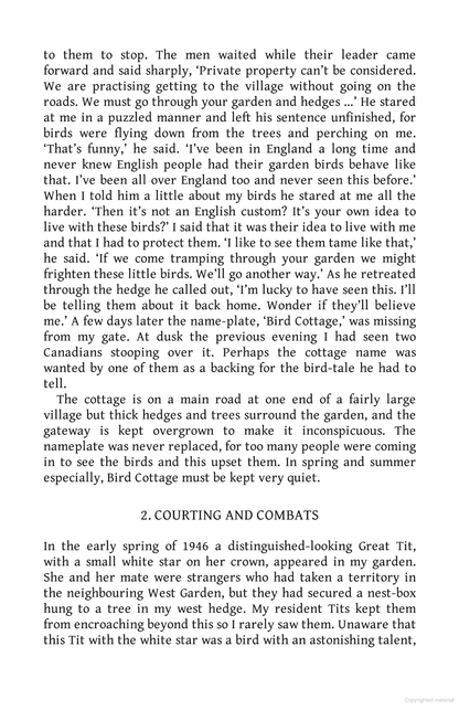 Living with Birds: The true story of one woman’s remarkable relationship with wild birds