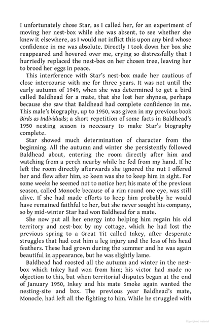 Living with Birds: The true story of one woman’s remarkable relationship with wild birds