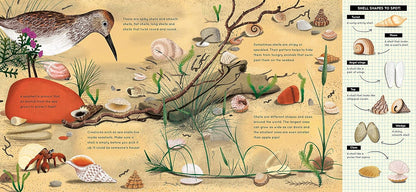 National Trust: Look What I Found at the Seaside