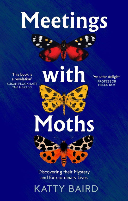 Meetings with Moths : Discovering Their Mystery and Extraordinary Lives (Used)