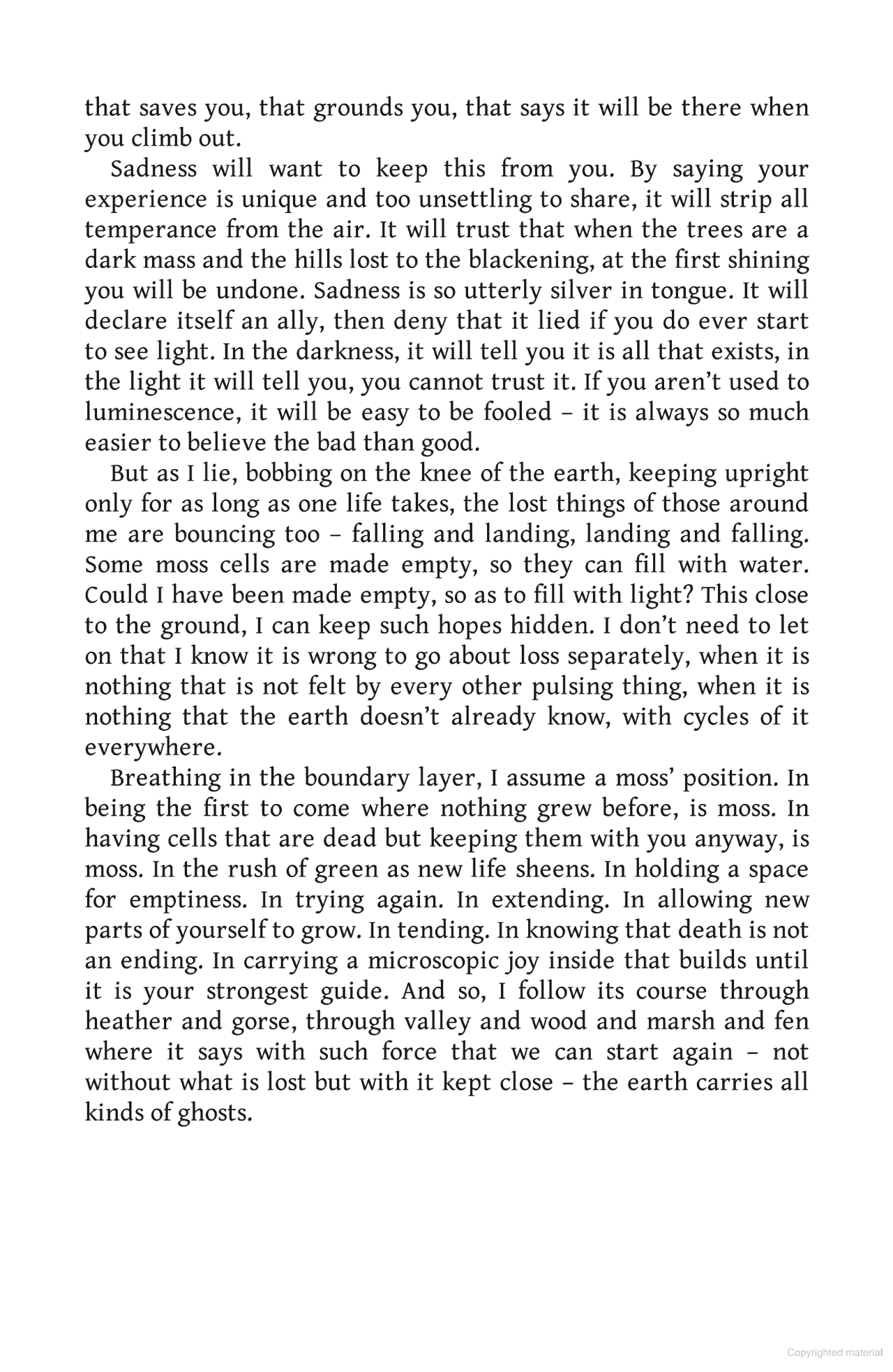 Twelve Words for Moss