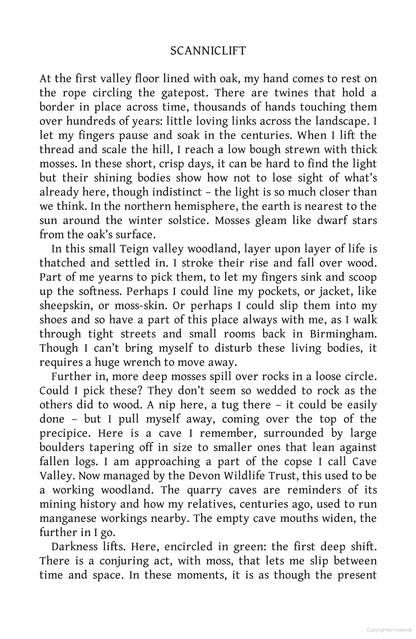 Twelve Words for Moss