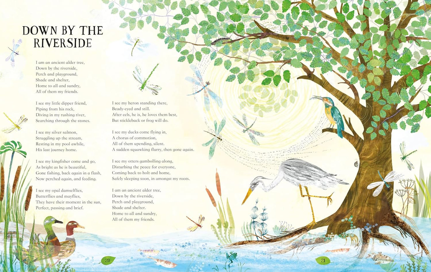 My Heart Was a Tree : Poems and Stories to Celebrate Trees