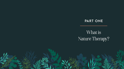 Nature Therapy: How to Use Ecotherapy to Boost Your Sense of Well-Being