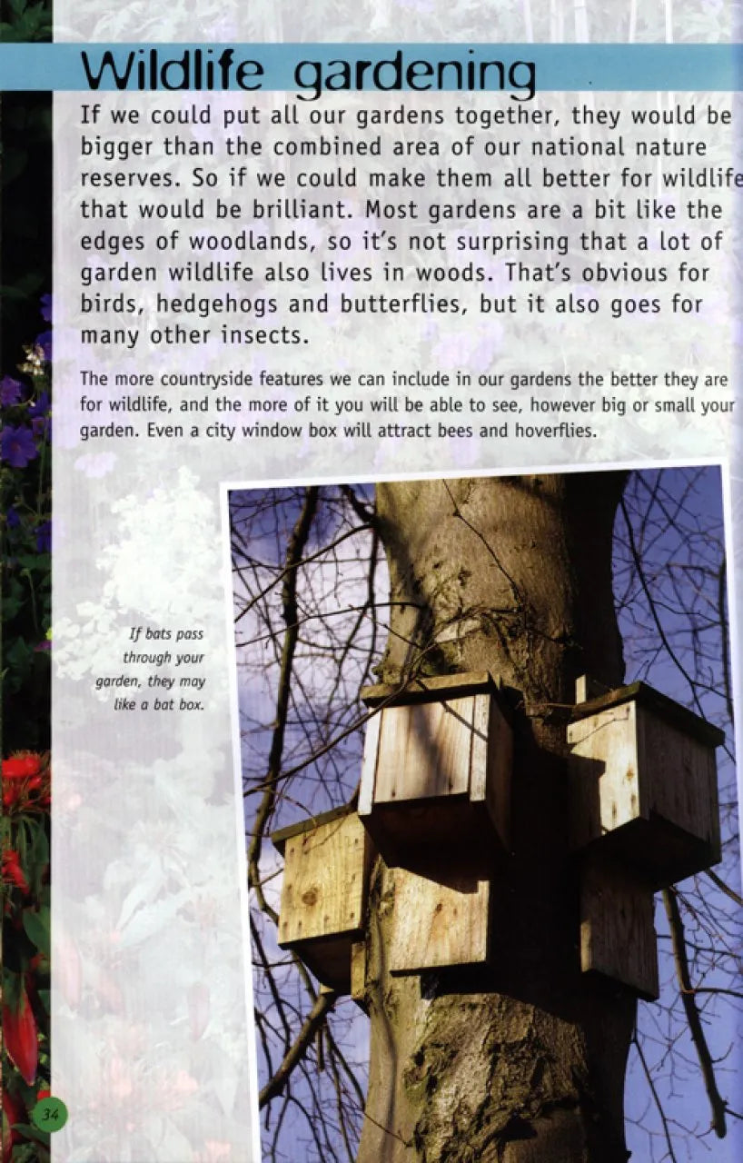 RSPB Children's Guide To Nature Watching
