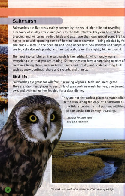 RSPB Children's Guide To Nature Watching