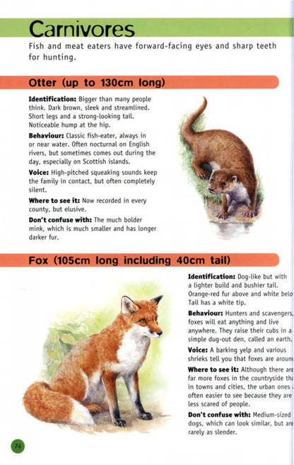 RSPB Children's Guide To Nature Watching