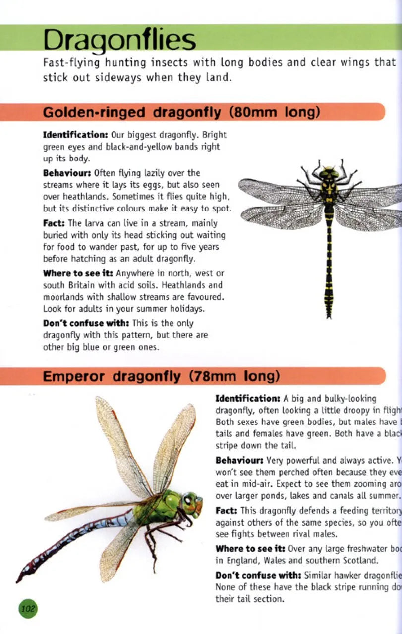 RSPB Children's Guide To Nature Watching