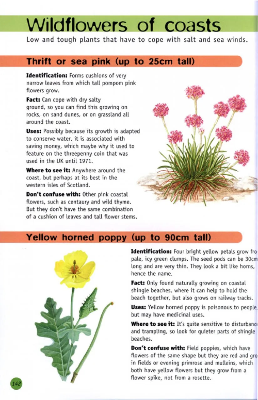 RSPB Children's Guide To Nature Watching