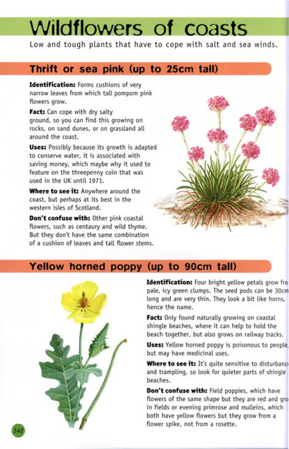 RSPB Children's Guide To Nature Watching