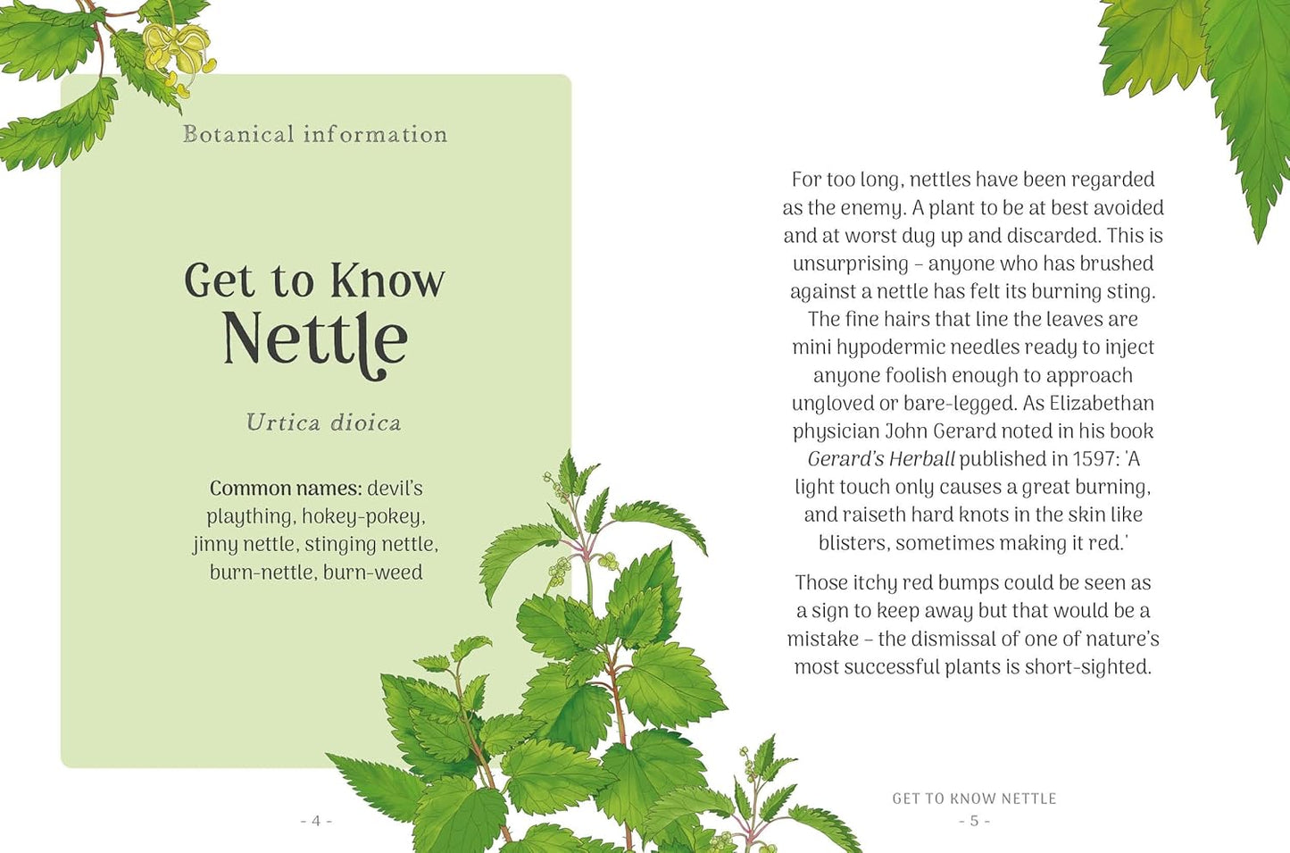 The Little Wild Library: Nettle : Simple Things to Do with the Plants Around You