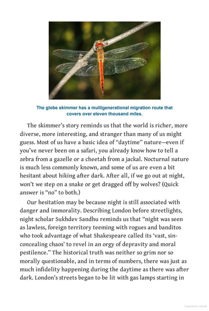Nature at Night : Discover the Hidden World That Comes Alive after Dark