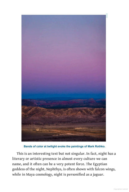 Nature at Night : Discover the Hidden World That Comes Alive after Dark