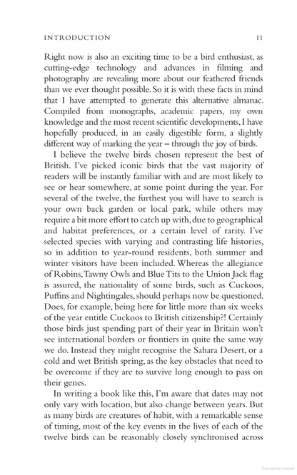 Nightingales in November: A Year in the Lives of Twelve British Birds