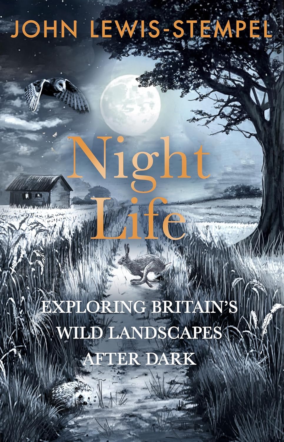 Night Life : Walking Britain’s wild landscapes after dark