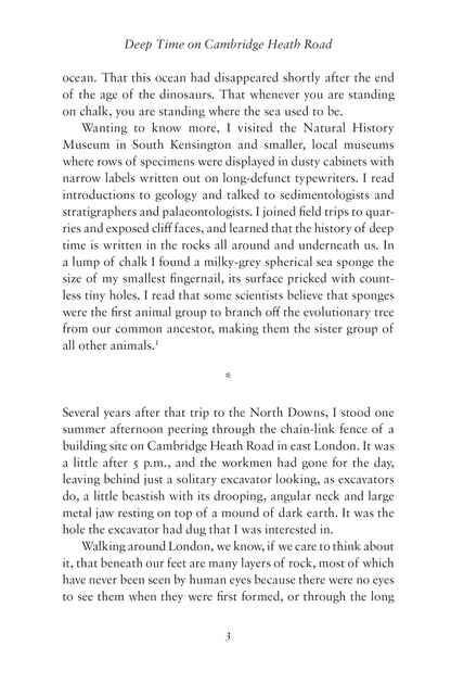 Notes from Deep Time