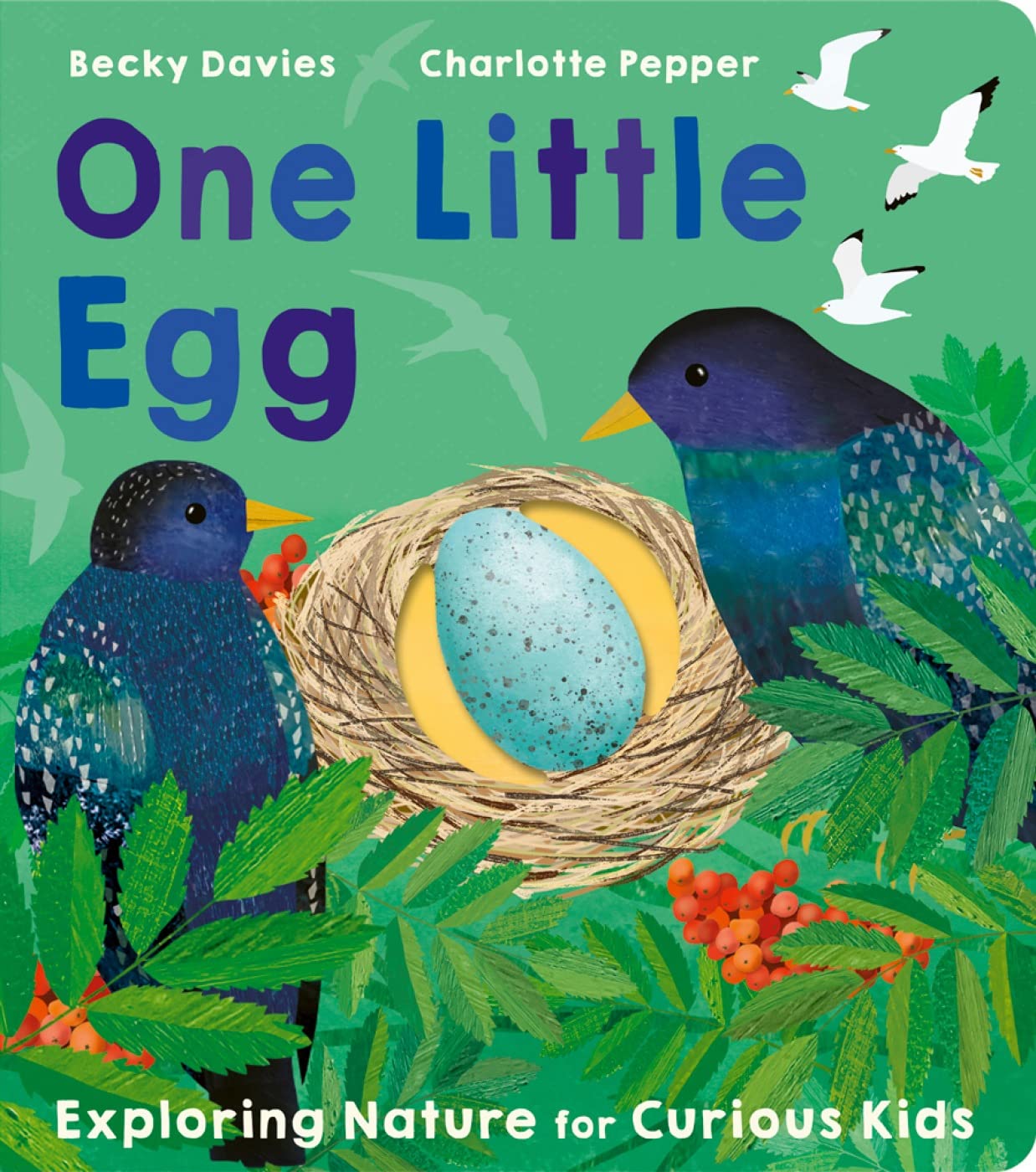 One Little Egg: Exploring Nature for Curious Kids