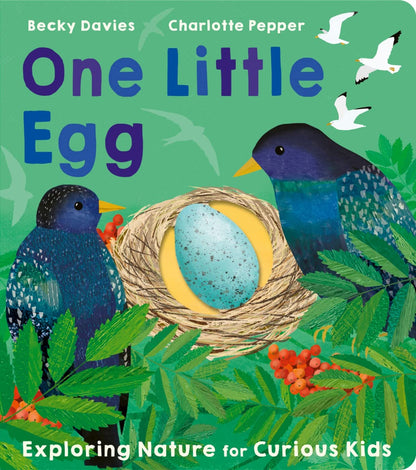 One Little Egg: Exploring Nature for Curious Kids