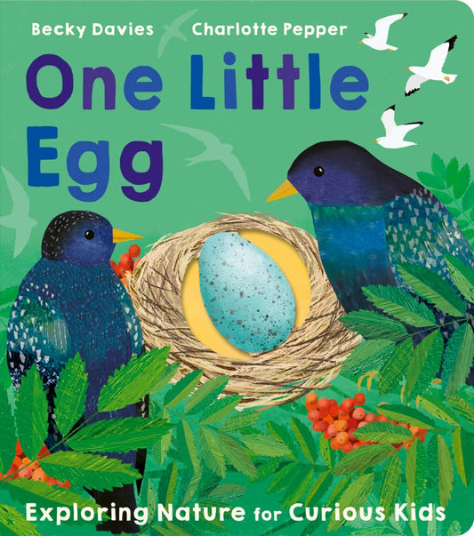 One Little Egg: Exploring Nature for Curious Kids