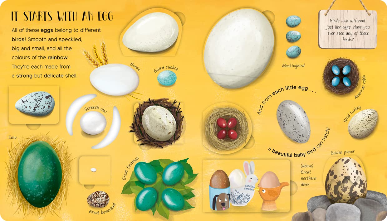 One Little Egg: Exploring Nature for Curious Kids