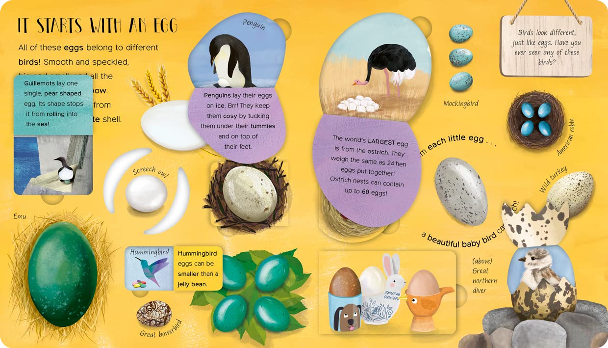 One Little Egg: Exploring Nature for Curious Kids