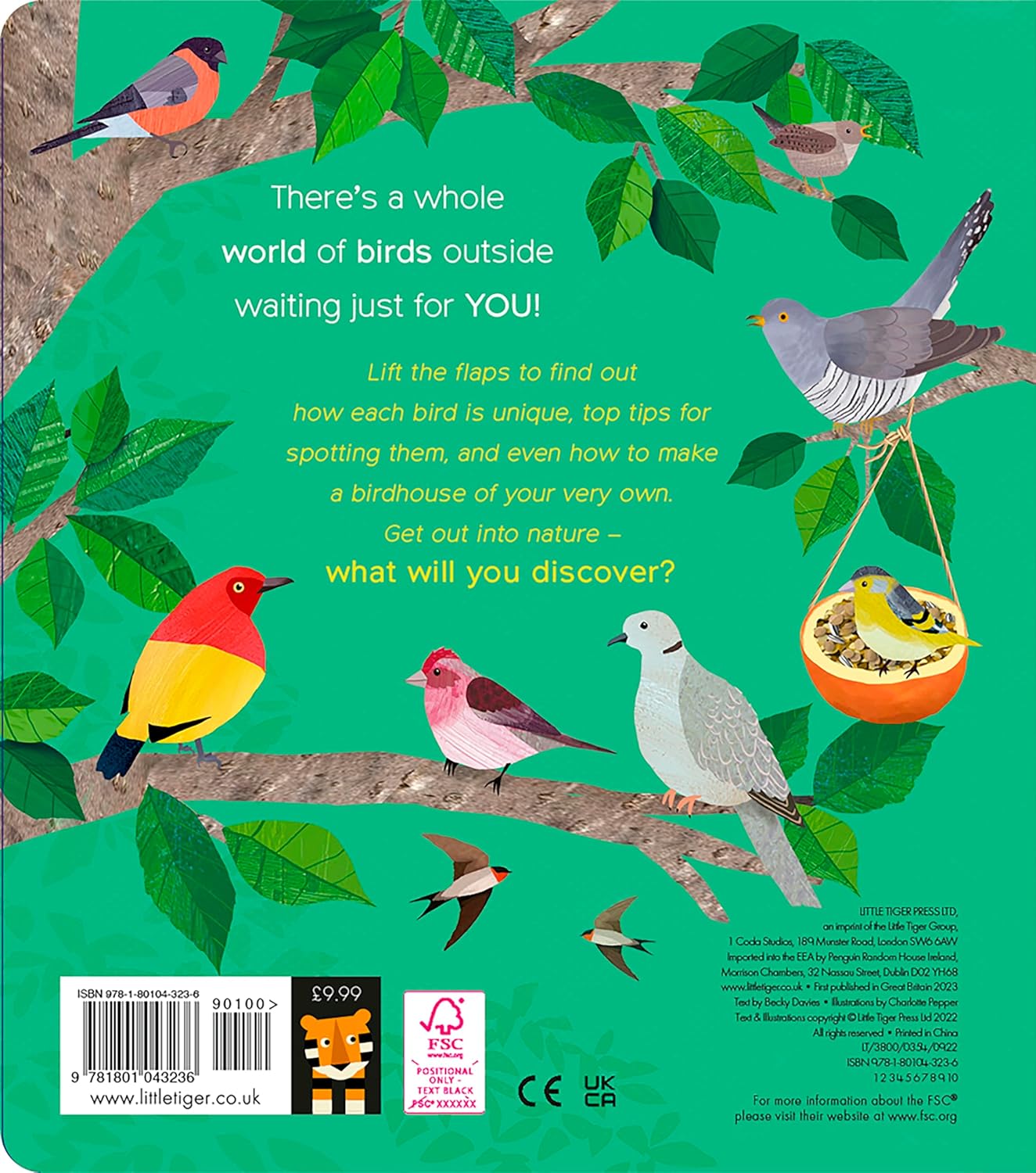 One Little Egg: Exploring Nature for Curious Kids