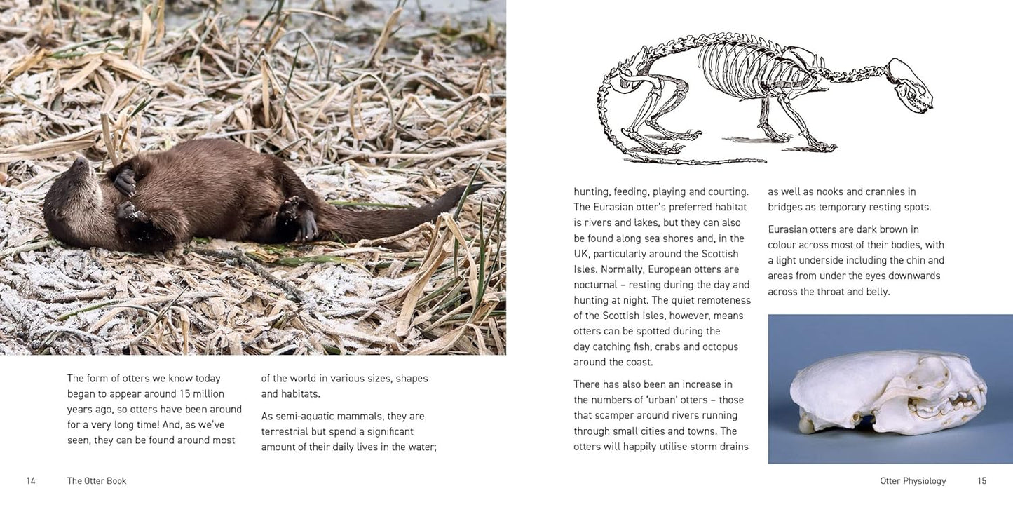 The Otter Book