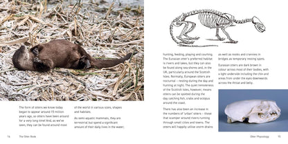 The Otter Book