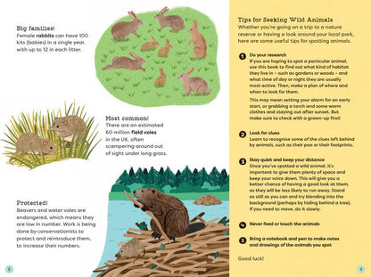 National Trust: Out and About: Animal Spotter: A Children’s Guide to 50 Different Wild Animals