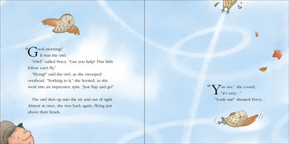 Owl’s Lesson: A Percy the Park Keeper Story