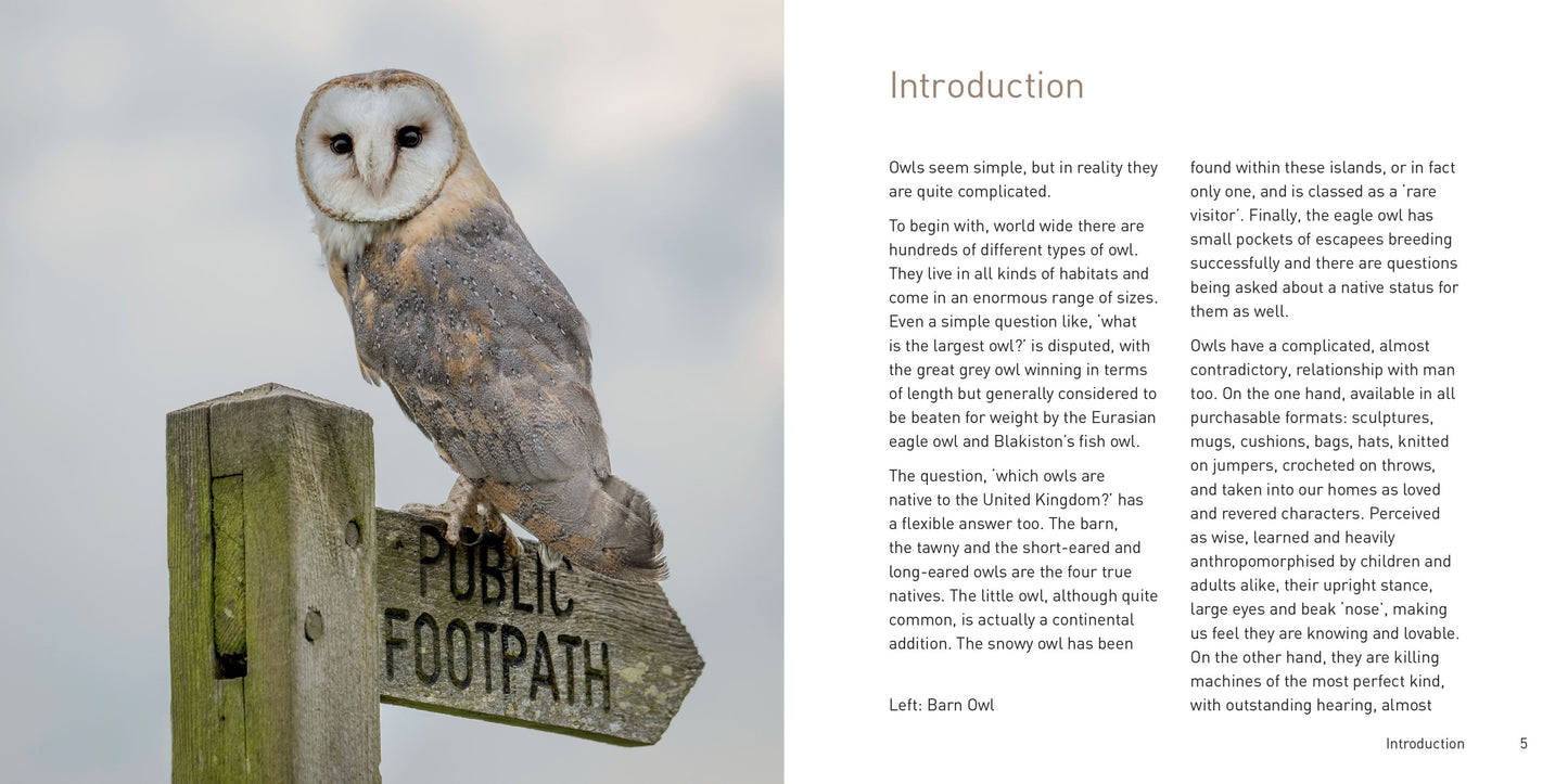 The Owl Book