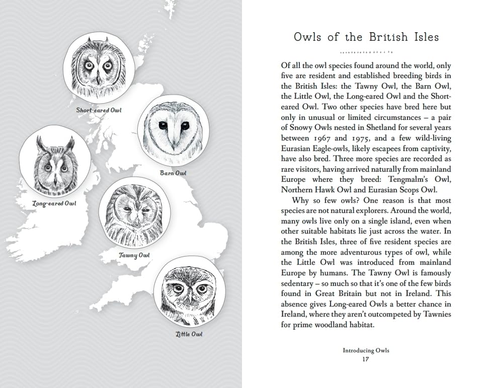 RSPB Pocket Book of Owls