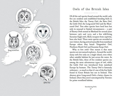 RSPB Pocket Book of Owls