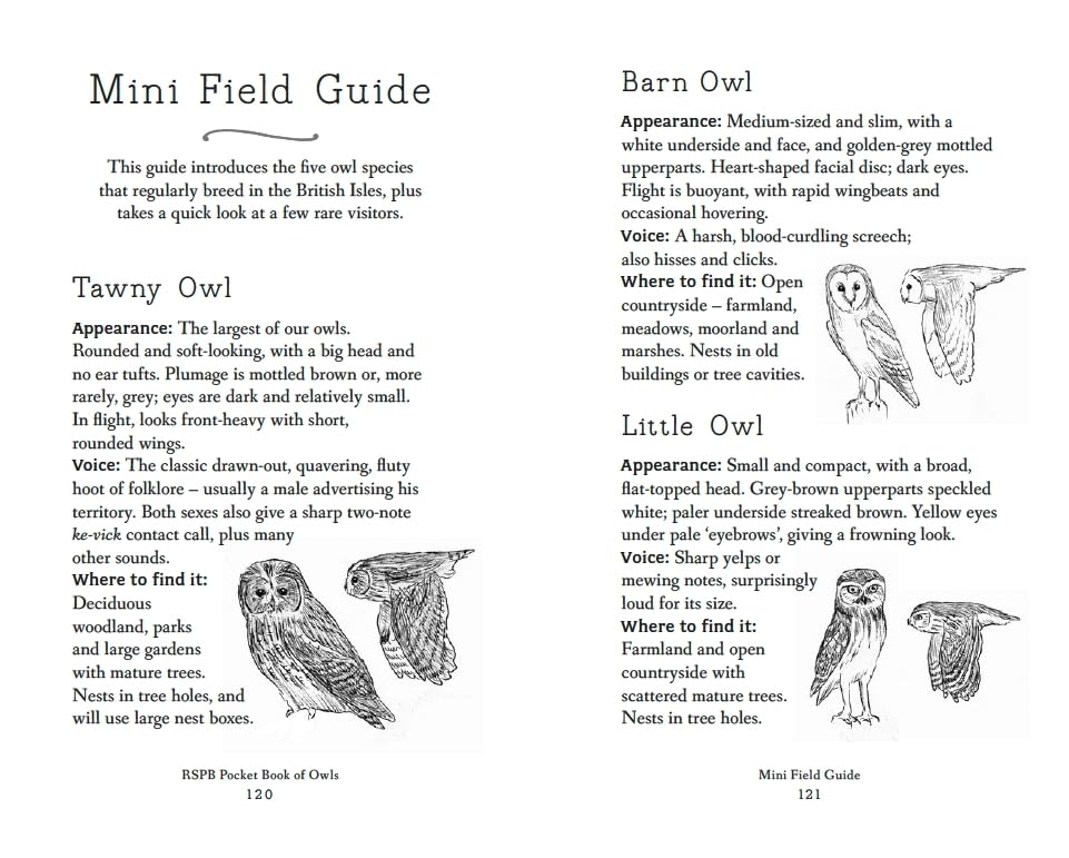 RSPB Pocket Book of Owls